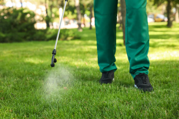 Best Pest Inspection Near Me  in Tunnel Hill, GA