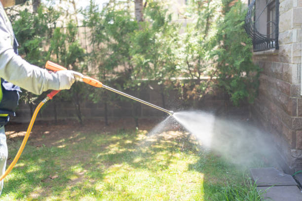 Wildlife Control Services in Tunnel Hill, GA
