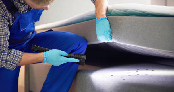 Best Cockroach Control Services  in Tunnel Hill, GA