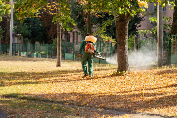 Best Commercial Pest Control Services  in Tunnel Hill, GA